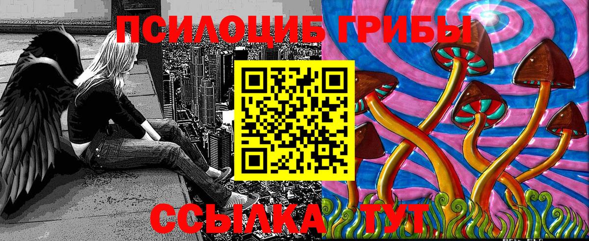 Псилоцибиновые грибы прущие грибы  Вход с VPN  Кудымкар 